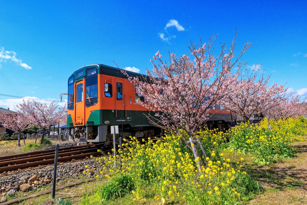 2024.03.14豊岡駅 彦坂4