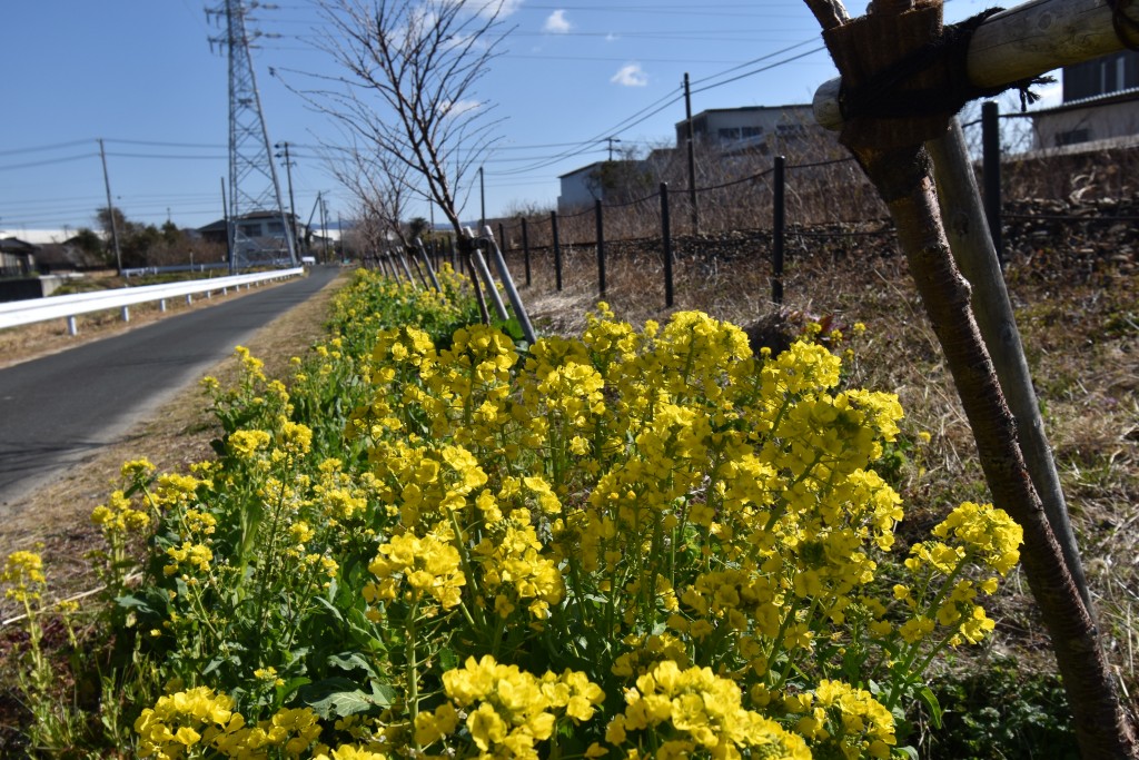 2022.03.03岩水寺駅～宮口駅1