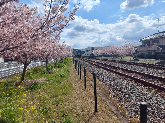2026.03.16豊岡駅3