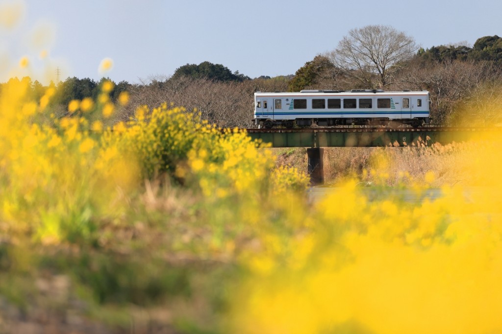 天浜2I9A7494