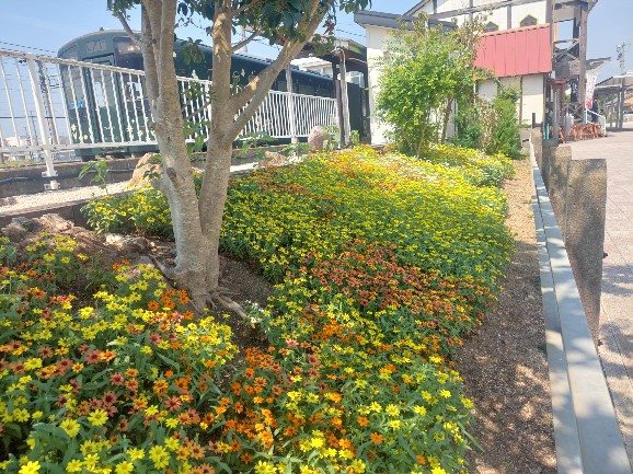 2026.07.30新所原駅7