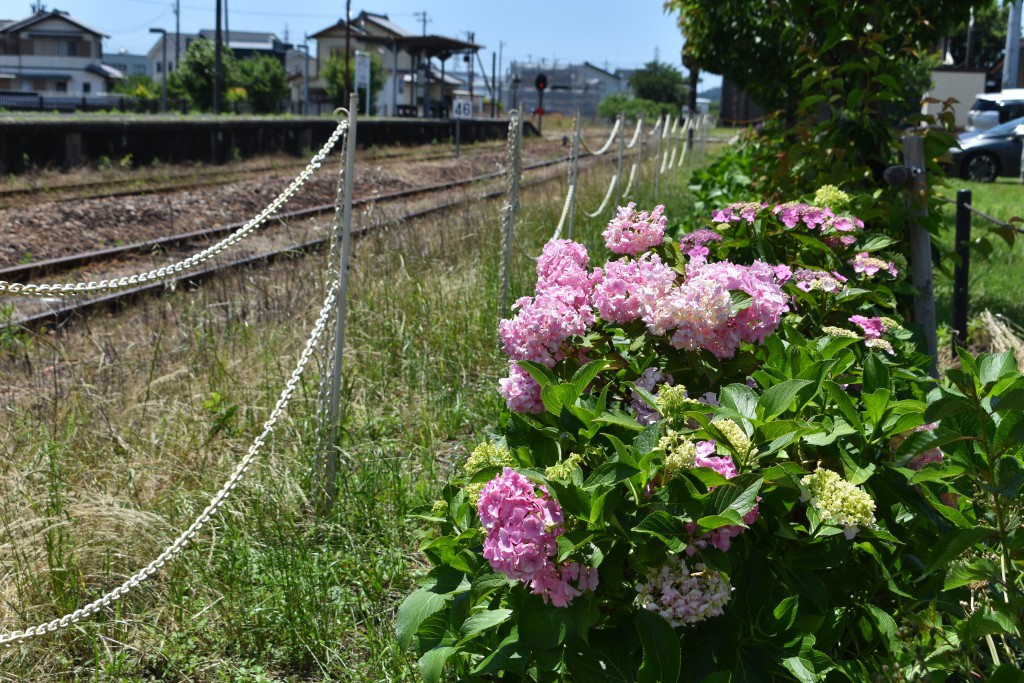 2023.06.04遠州森駅4JPG