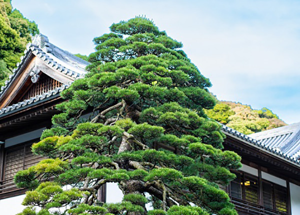 法多山尊永寺