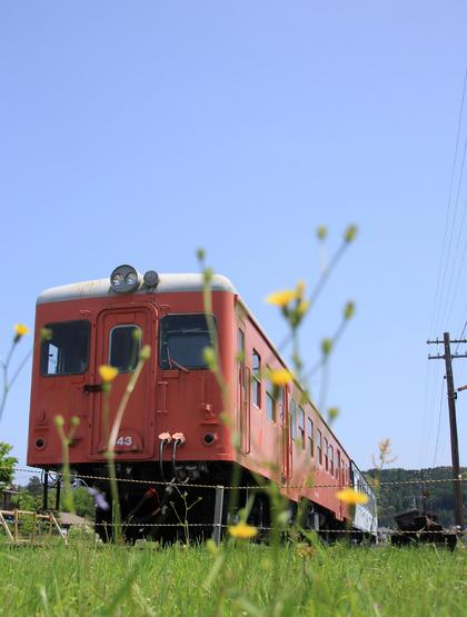 futamatajidai-thumb-420xauto-1393.jpg
