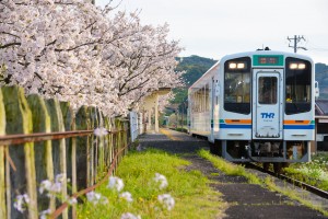 harunotabidachimorita201604