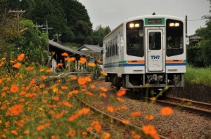 higashishizuoka01-thumb-570xauto-967.jpg