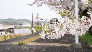 jimotonohokorimiyazakisama201604