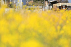 mini_094A1717_Nn