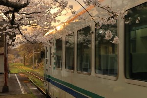 mini_094A3949_Nn