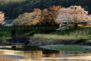 mini_094A5778_Nn