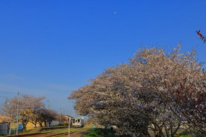mini_094A6211