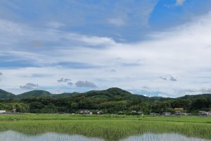 mini_094A6232_Nn