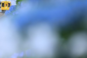 mini_2I9A5941