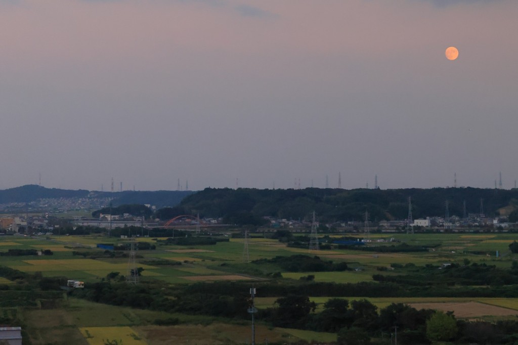 mini_2I9A8244