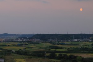 mini_2I9A8244