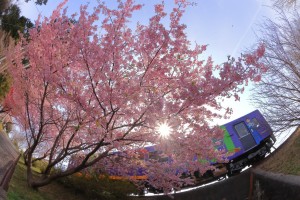 mini_2I9A9869
