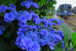 mini_IMG_0639