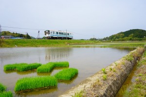 tauenokisetsutakabon20160509