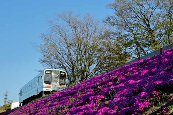 tenhamaE88A9DE6A19CE38292E58F8BE381AB-thumb-570xauto-2831.jpg