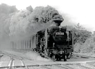 ※蒸気機関車(国鉄二俣線時代)