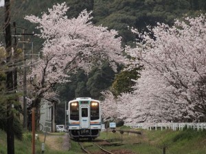 toko-tetsubunhokyu12-thumb-570xauto-1825.jpg