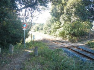 toko-walkingbucho06-thumb-570xauto-2113.jpg