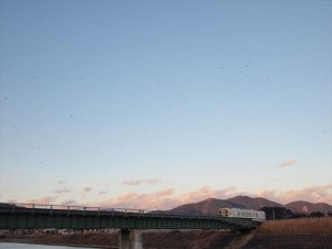 tokokureteyuku-thumb-570xauto-2175.jpg